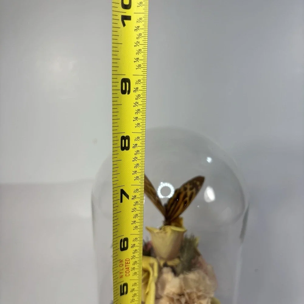 Vtg Dried Flower & Butterfly Bee Domed‎ Diorama Cloche MCM Decor Wood Base 7.5